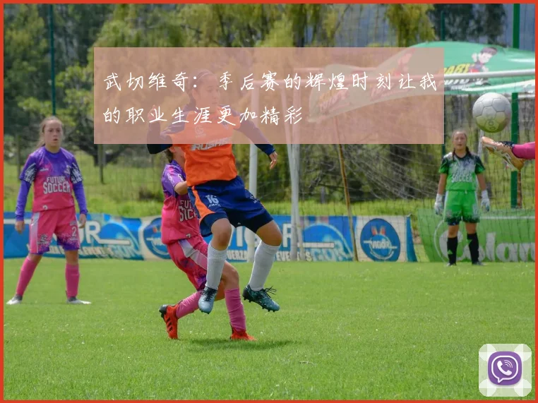武切维奇：季后赛的辉煌时刻让我的职业生涯更加精彩